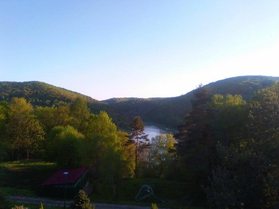 מלון מיצ'קובצה Osrodek Wypoczynkowy " Bieszczady" מראה חיצוני תמונה